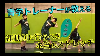 【👀青学トレーナーが教えるダイナミックストレッチ❗️】上半身編