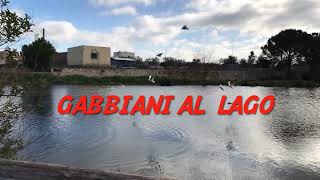 Conversano Lago di Sassano 14 01 2022