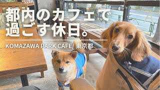 【愛犬とカフェ】駒沢公園のドッグカフェでchill