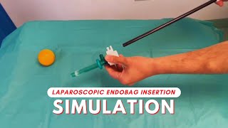 Laparoscopic Endobag Insertion - Simulation | Dr Kunal Rathod