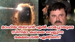 മാഫിയ രാജാവിന്റെ സാഹസിക രക്ഷപെടൽ|eduallmedia