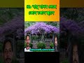 ৪৯ বায়ু মানব দেহে কোন 49 bayo manob dehe kon kon stane