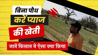 #प्याज की खेती बिना नर्सरी किये, बहुत आसान और कम खर्चीला तरीका #farming