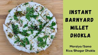 Barnyard Millet Dhokla | Moraiyo/Sama Rice/Bhagaricha Dhokla | Vrat ka Dhokla | Gluten-free Dhokla