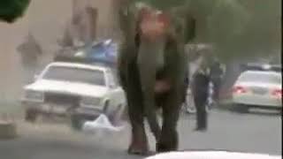 Sirkte Fil saldırısı. circus elephant attack. adam heralde öldü. man kill.