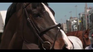 It takes two... Training talk with Harrie Smolders and Jos Verlooy at LGCT Antwerp