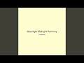 Moonlight Midnight Harmony