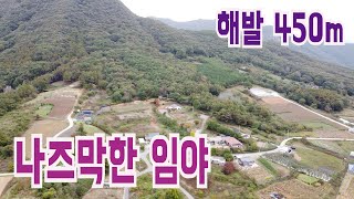 #77- 해발 450미터 나즈막한 자연인 임야, 건축 가능, 전기 상하수도