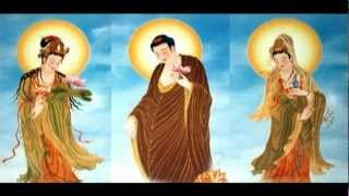 The Sūtra of Visualization of Amitāyus Buddha- Kinh Quán Vô Lượng Thọ -(English Subtitles)