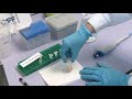 sample preparation for the analysis of volatile compounds by gc ms upv