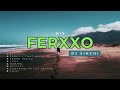 MIX FERXXO 2024 (Brickell, S4TM, Perro Negro, Luna, Normal, Offline, Chorrito, Friki) DJ SINCHI