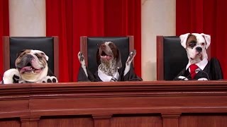 National Federation of Independent Businesses v. Sebelius: Oral Argument - March 26, 2012 (Part 1)