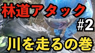 バイクで林道を走るの続き