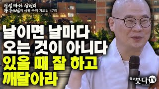 날이면 날마다 오는 것이 아니다 있을 때 잘 하고 깨달아라 | 전설 따라 삼천리 광우스님의 생활 속의 기도법 47회 | 기도 소원성취 인생 불교 사찰 이야기