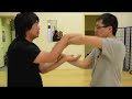 gz wing chun chi sau 2