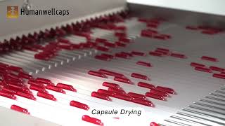 Want to Know How HumanwellCaps Capsules Are Produced?