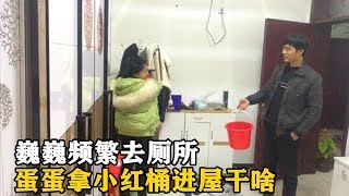 巍巍怀孕9个月频繁往厕所跑，蛋蛋掂个小红桶进屋，巍巍表情亮了【豫山豫水】