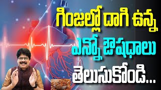 గింజల్లో దాగి ఉన్న ఎన్నో ఔషదాలు  తెలుసుకోండి...By Dr. Murali Manohar Chirumamilla, M.D. (Ayurveda)