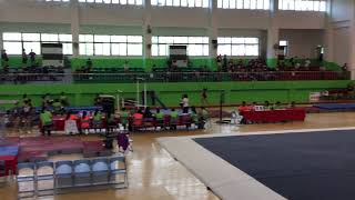 107年全國大專院校運動會＿競技體操 一般女子組 跳馬 Artistic Gymnastics 🤸🏼‍♀️ vaulting