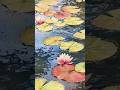 Watercolor painting process - reflections on a water lily pond