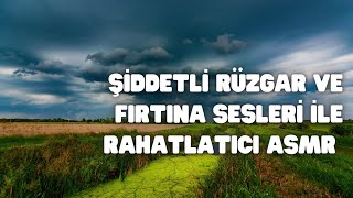 Şiddetli Rüzgar ve Fırtına Sesleri ile rahatlatıcı ASMR - Arka Plan Sesleri