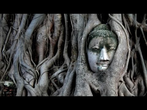 Root Of All Problems Youtube