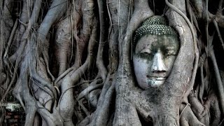 ROOT OF ALL PROBLEMS