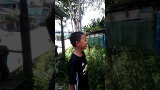 budak debak lawak