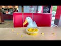 I took my duck to KFC