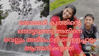 ആനയടി കുത്ത് വെള്ളച്ചാട്ടം