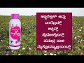 ವೈಜ್ಞಾನಿಕ ಪದ್ಧತಿಯಲ್ಲಿ ಆಲೂಗಡ್ಡೆ ಕೃಷಿ ಶ್ರೀ ಯೋಗೇಶ scientific method of potato cultivation