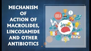 DIGESTER-24 | MECHANISM OF ACTION OF MACROLIDE,LINCOSAMIDE AND OTHER ANTIBIOTICS | PHARMACOLOGY