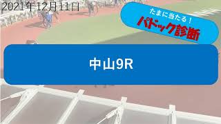 【予想競馬】たまに当たるパドック診断。2021年12月11日中山9R