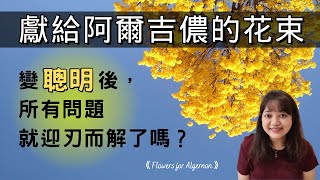 一個白痴變天才的故事，告訴你什麼是人性！►《獻給阿爾吉儂的花束》丹尼爾.凱斯｜說書｜書評｜千芸說書