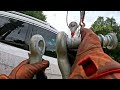 INSANE Car Recovery – Mercedes GL550 in a TREE!