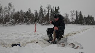 Раздача окуня на реке Етыпур.