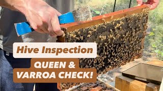 Bee Management: Identifying Problems and Solutions
