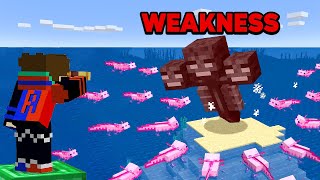 Testing All Minecraft Mobs Weakness