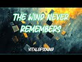 VitalOfSound - The Wind Never Remembers (Official Lyrics Video)