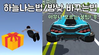 3D운전교실 하늘 나는법/밤낮 바꾸는법 알려드립니다! [퓨츠앙]