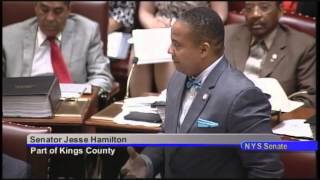 Senator Hamilton's remarks on Sen. Carlucci bill S 2150