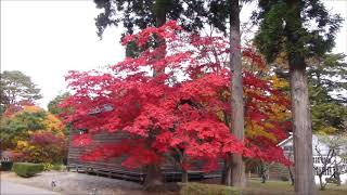 2020.11.6 今年最後の函館紅葉めぐり　見晴公園･香雪園　絶景！