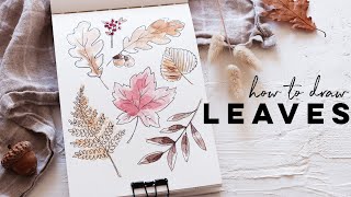 How To Draw Autumn Leaves | Fun Beginner Illustration