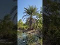 laag hot spring 🇸🇴☀️ bosaso somalia africa puntland 📸 cawaale koronto