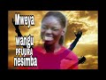 Mweya wangu pfuura nesimba