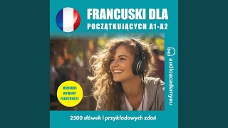 Chapter 683 - Francuski dla początkujących A1-A2