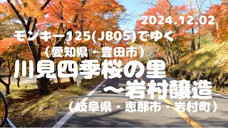 川見四季桜の里〜岩村醸造【モンキー125】【JB05】【愛知県豊田市】【岐阜県恵那市岩村町】【マスツーリング】【紅葉シーズン】【2024.12.02】