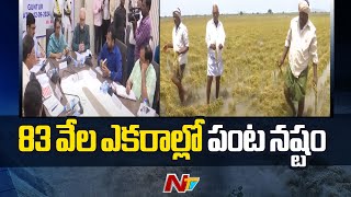 Heavy Rains : డెల్టా రైతులను తీవ్రంగా దెబ్బకొట్టిన భారీ వరదలు | NTV