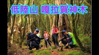 低陸山 | 嘎拉賀A區神木群 | 把加灣山 | 復興鄉 | 空拍 | 看見台灣中級山系列