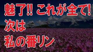 海外の反応 感動!!大谷翔平選手が窮地のチームを笑顔に変え、ちびっ子ファンも魅了する行動とは!？世界の外国人から絶賛の声が続出!! ... #海外の反応